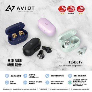 AVIOT TE-D01v 真無線耳機 